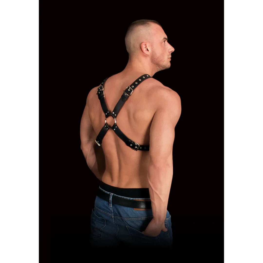 OUCH! Adonis - High Halter Harness