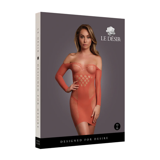 LEDÉSIR Long-Sleeved Net Mini Dress