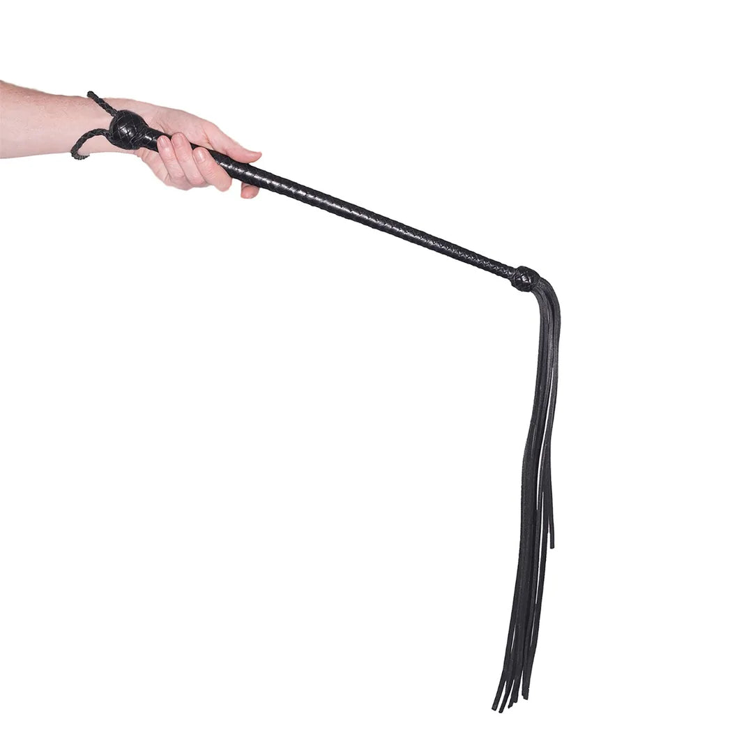 PROWLERRED Long Handled Whip