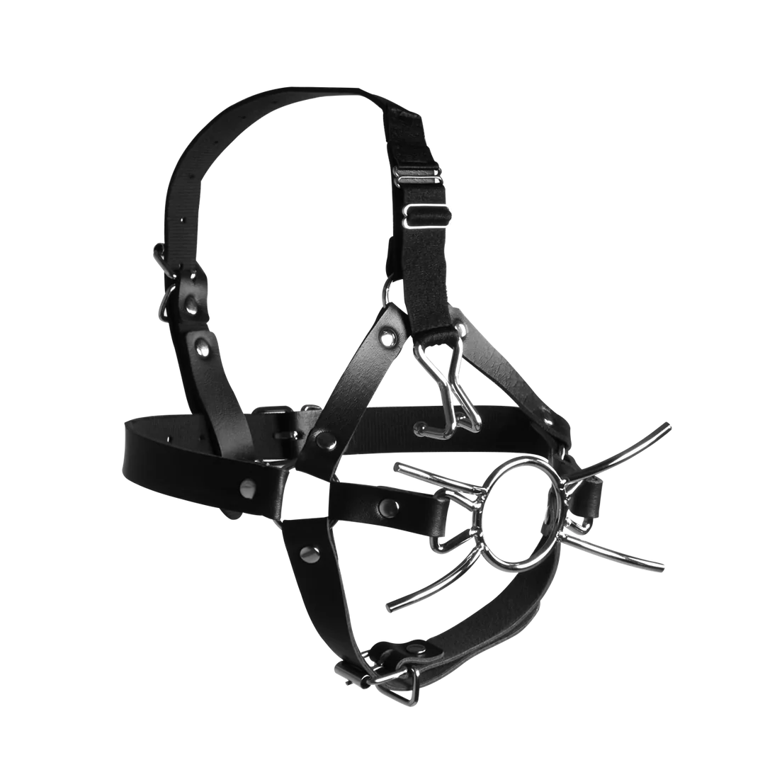 OUCH! Head Harness with Spider Gag and Nose Hooks