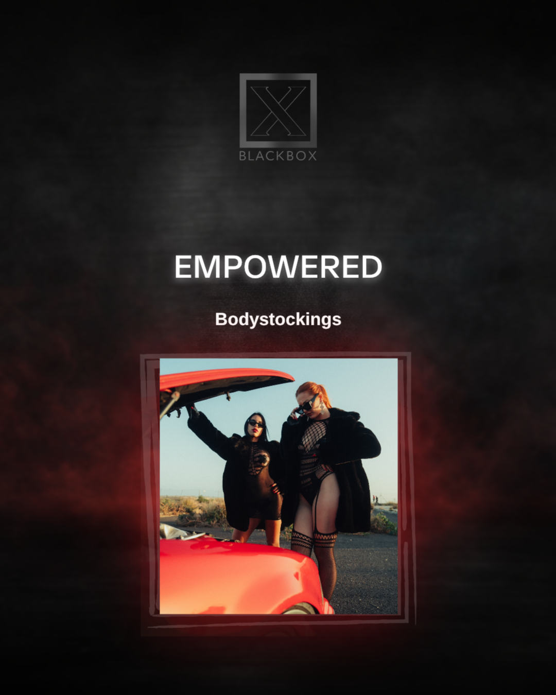 Bodystockings by Le Désir