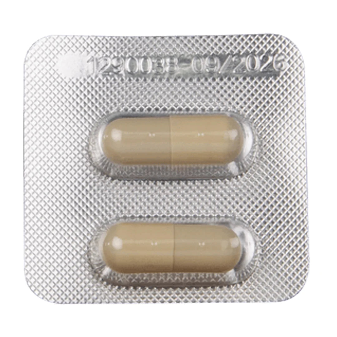 HOT Exxtreme Libido Pills Woman - 2 caps