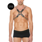 OUCH! Chain and Chain Harness