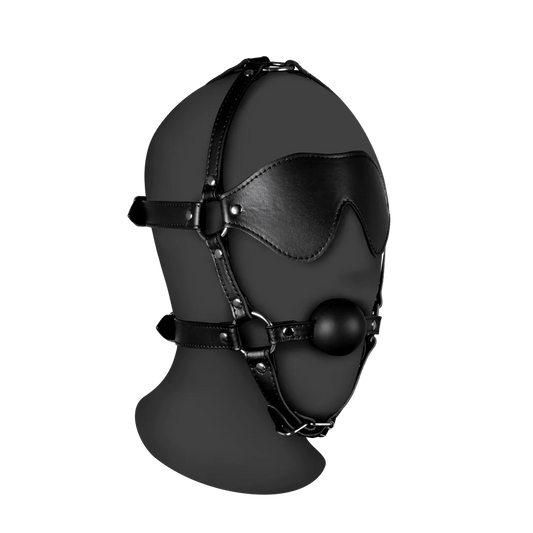 OUCH! Blindfolded Head Harness with Solid Ball Gag