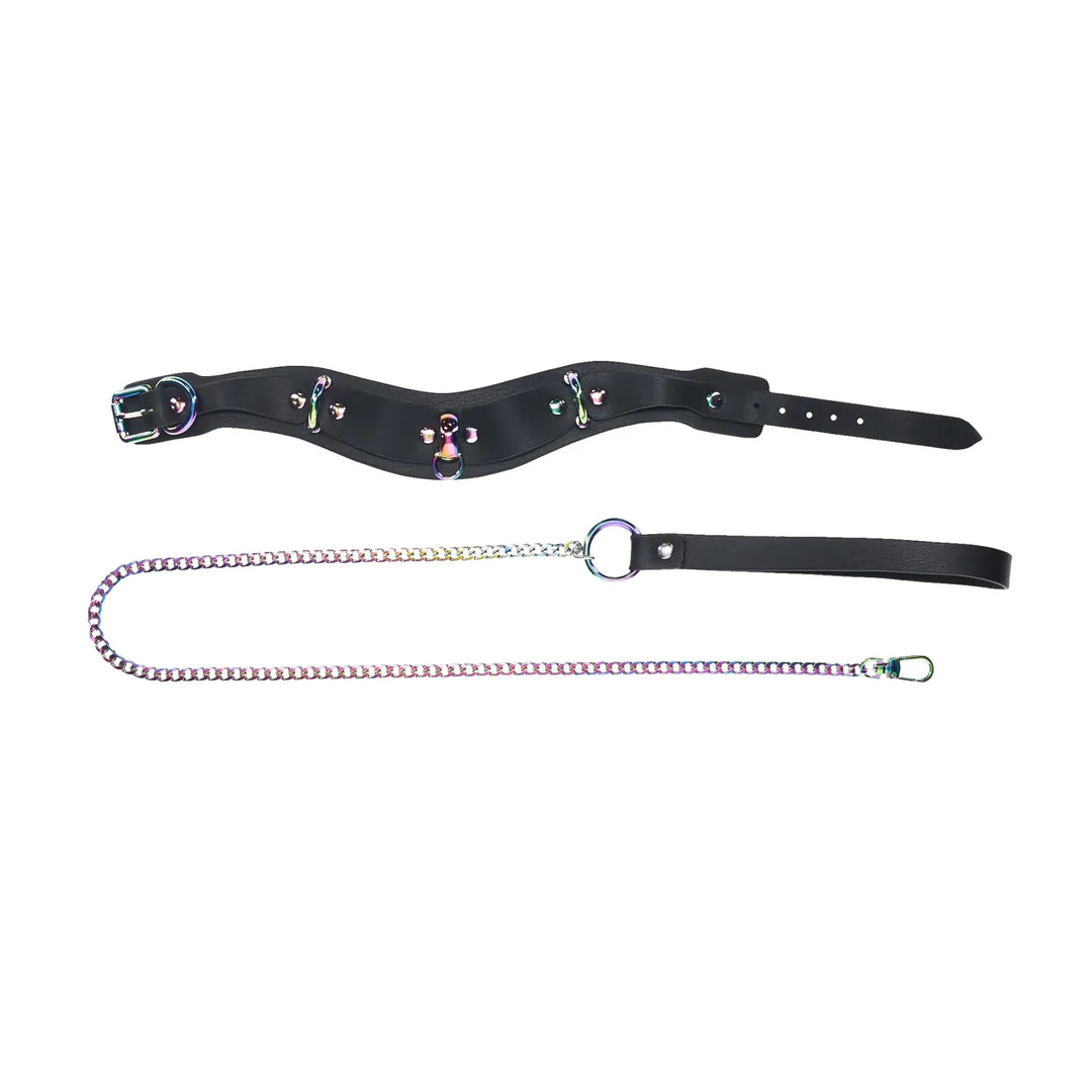 OUCH! Venice Collection Collar with Leash