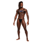 MALEPOWER Aries Harness