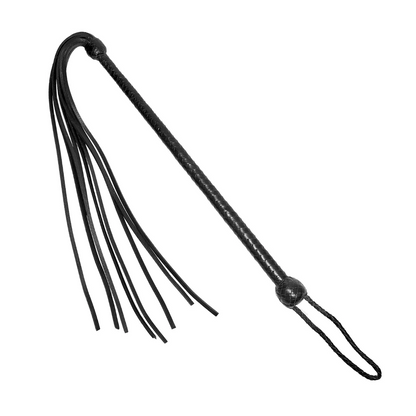 PROWLERRED Long Handled Whip