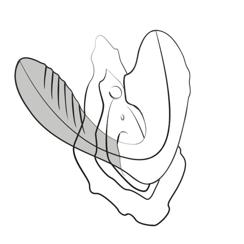 ROMP Reverb G-Spot Stimulator & Clitoral Suction Device