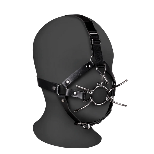 OUCH! Head Harness with Spider Gag and Nose Hooks