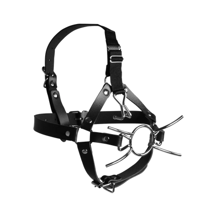 OUCH! Head Harness with Spider Gag and Nose Hooks
