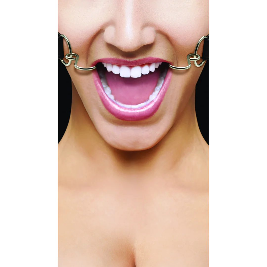 OUCH! Hook Gag