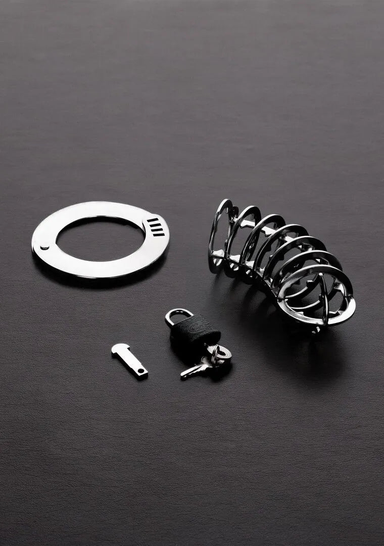 STEELBYSHOTS The Spiked Chasity Cage